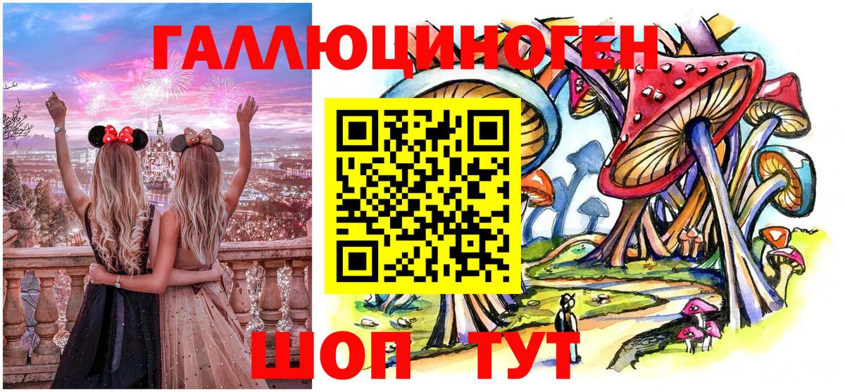 даркнет сайт  Псилоцибиновые грибы Psilocybine cubensis  Вход с VPN  Димитровград 