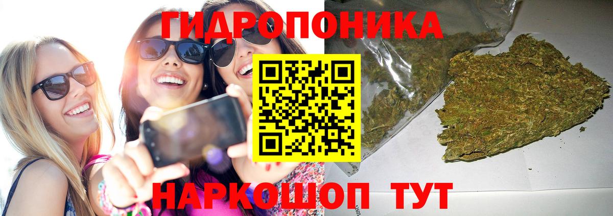 Марихуана OG Kush Димитровград